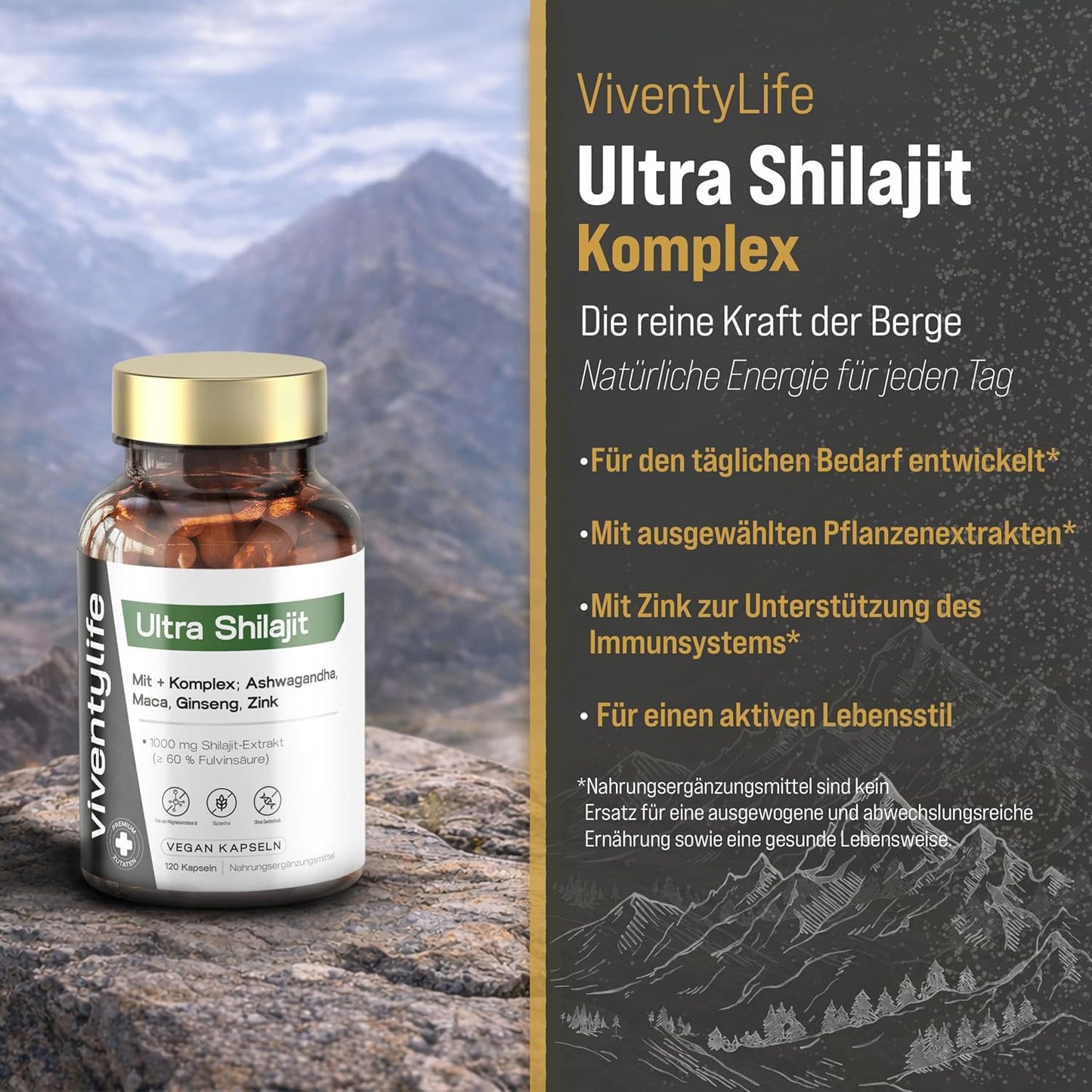 1000mg Shilajt Komplex 120 Vegan Kapseln