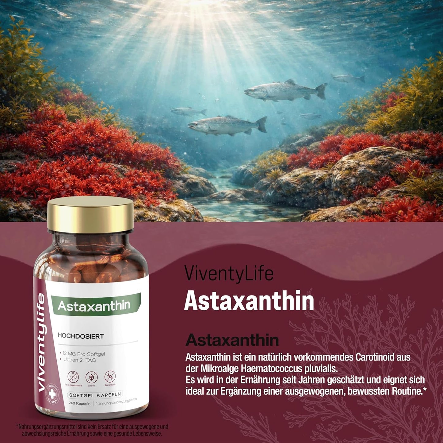 Astaxanthin Hochdosiert 12mg pro Softgel Kapseln - 240 Kapseln